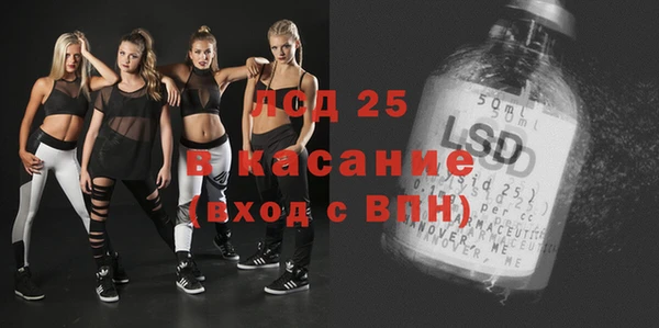 крисы Алзамай