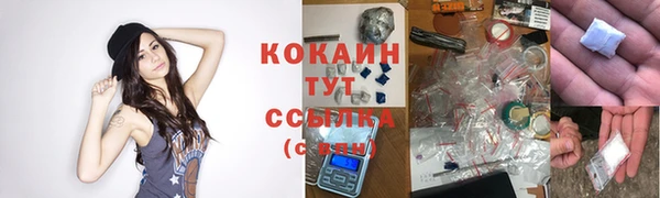 крисы Алзамай