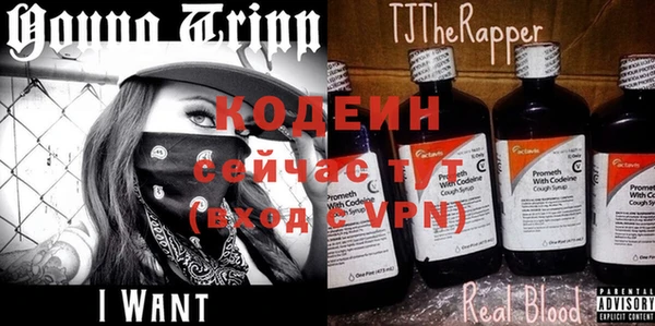 индика Алексеевка