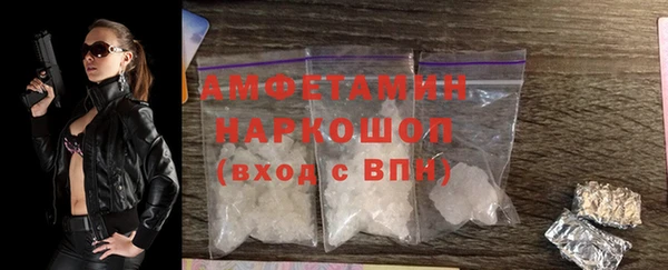 ешки Алексин