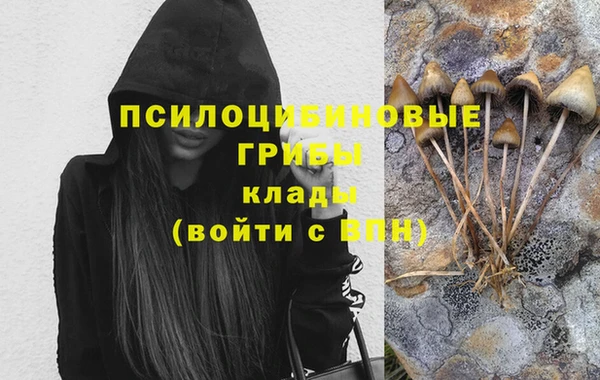 ешки Алексин