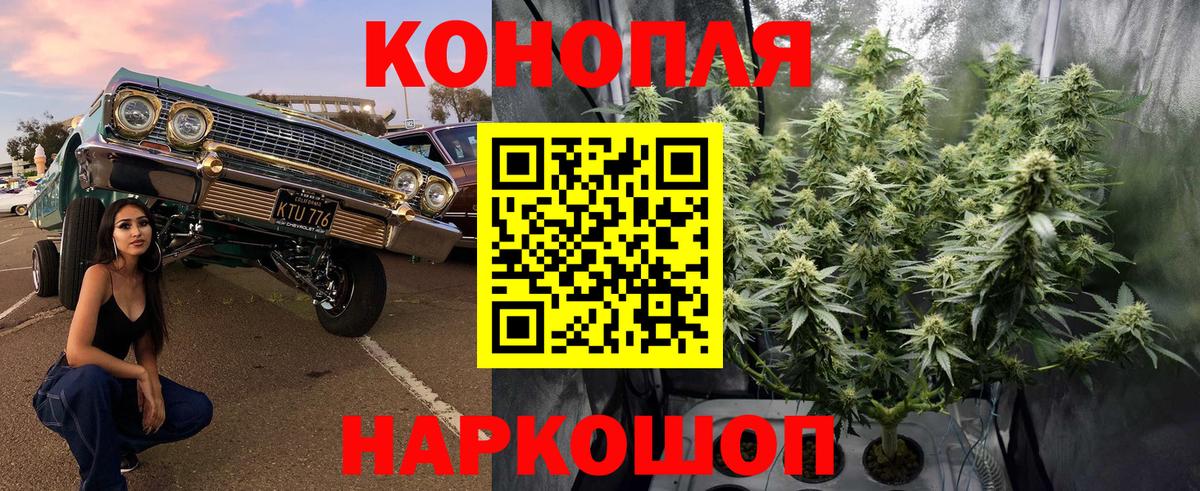 Шишки марихуана планчик  Вход с VPN  Усинск  Шишки марихуана марихуана  Бошки Шишки OG Kush 